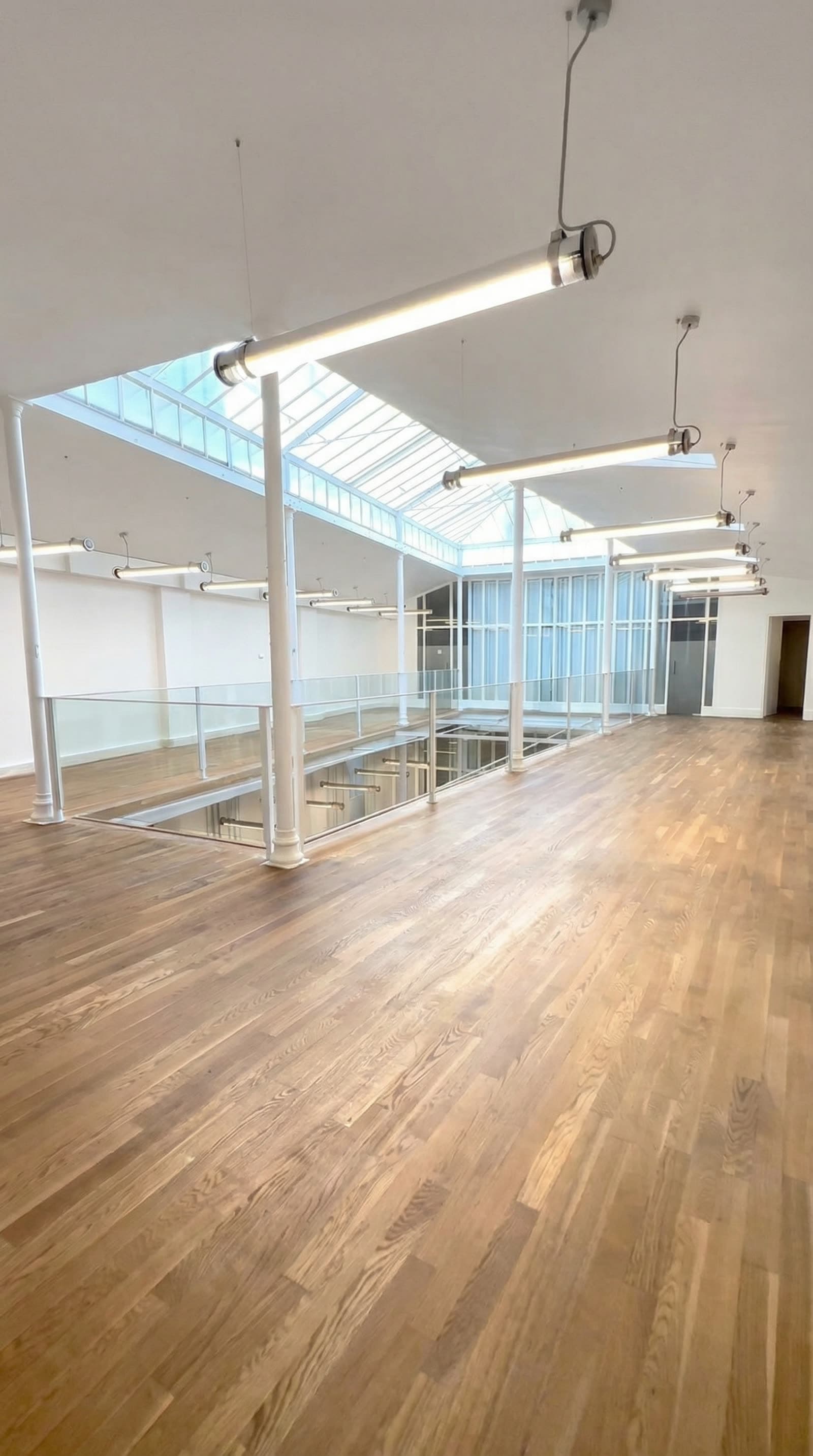 Mezzanine avec parquet et verrière zénithale